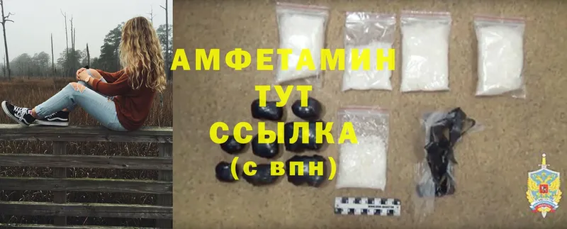 цена наркотик  Качканар  Amphetamine VHQ 